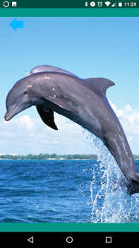 Scaricare Suoni di animali Intrattenimento per Android Screenshot 4