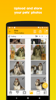 Scaricare 11pets: Cura degli animali Stile di vita per Android Screenshot 5