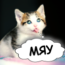 Scaricare  Cat translator. Cat sounds. Meow joke