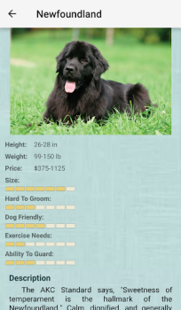 Scaricare Dog Breeds Libri e guide per Android Screenshot 2