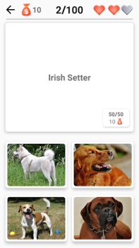 Scaricare Razze canine - Quiz sui cani! Quiz per Android Screenshot 5