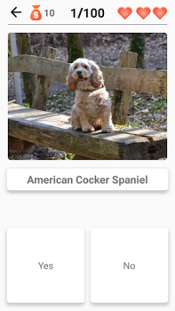 Scaricare Razze canine - Quiz sui cani! Quiz per Android Screenshot 7