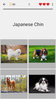 Cani - Foto-quiz sulle razze
