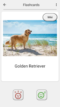 Cani - Foto-quiz sulle razze