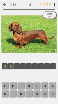 Cani - Foto-quiz sulle razze