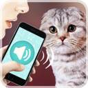 Scaricare  Переводчик на кошачий язык