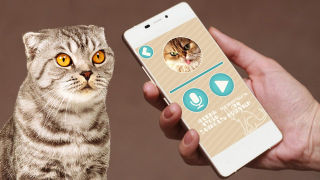 Scaricare Переводчик на кошачий язык Intrattenimento per Android Screenshot 3