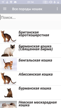 Scaricare Все породы кошек Libri e guide per Android Screenshot 2