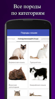 Scaricare Породы кошек. Справочник пород Libri e guide per Android Screenshot 2