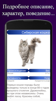 Scaricare Породы кошек. Справочник пород Libri e guide per Android Screenshot 3
