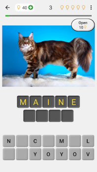 Gatti - Foto-quiz sulle razze