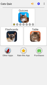 Gatti - Foto-quiz sulle razze