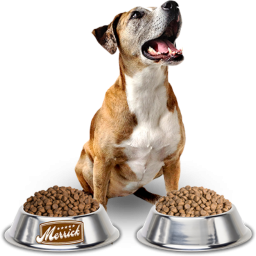 Logo Dog Food Homemade Recipes