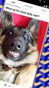 Scaricare 9GAG: Funny GIF, Meme & Video Intrattenimento per Android Screenshot 2
