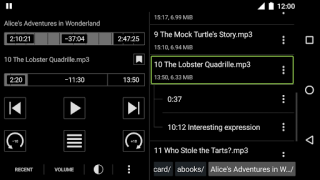 Scaricare Simple Audiobook Player Musica e audio per Android Screenshot 4