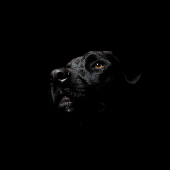 Scaricare Black Live Wallpaper Personalizzazione per Android Screenshot 2