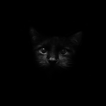 Scaricare Black Live Wallpaper Personalizzazione per Android Screenshot 5
