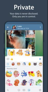 Scaricare Telegram Comunicazione per Android Screenshot 3