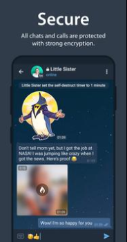 Scaricare Telegram Comunicazione per Android Screenshot 6
