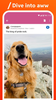 Scaricare Reddit Notizie e riviste per Android Screenshot 5