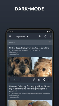 Scaricare BaconReader for Reddit Notizie e riviste per Android Screenshot 2