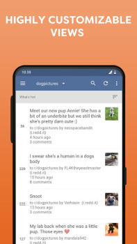 Scaricare BaconReader for Reddit Notizie e riviste per Android Screenshot 3