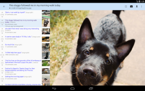 Scaricare rif is fun for Reddit Notizie e riviste per Android Screenshot 7