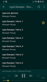 Scaricare sourate al baqara al afasy offline Stile di vita per Android Screenshot 2