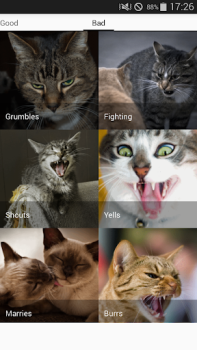 Scaricare Cat sounds - play with cats Intrattenimento per Android Screenshot 3