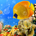 Scaricare  Sfondi Animati Acquario