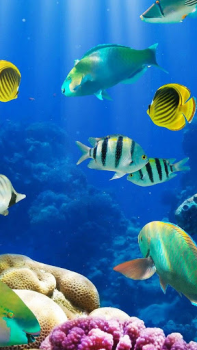 Scaricare Sfondi Animati Acquario Personalizzazione per Android Screenshot 3