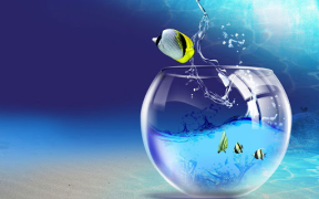Scaricare Sfondi Animati Acquario Personalizzazione per Android Screenshot 7