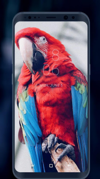 Sfondi Hd