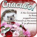 Scaricare  Открытки и Kартинки Спасибо и Благодарю