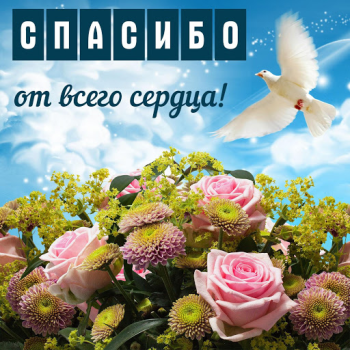 Scaricare Открытки и Kартинки Спасибо и Благодарю Intrattenimento per Android Screenshot 2