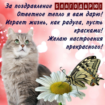 Scaricare Открытки и Kартинки Спасибо и Благодарю Intrattenimento per Android Screenshot 5