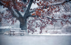 Scaricare Falling Snow Live Wallpaper (live background) Personalizzazione per Android Screenshot 6