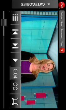 Scaricare Adobe Flash Player Strumenti per Android Screenshot 2