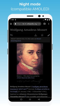 Scaricare Kiwi Browser - Fast & Quiet Comunicazione per Android Screenshot 3