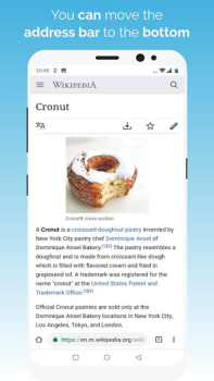 Scaricare Kiwi Browser - Fast & Quiet Comunicazione per Android Screenshot 4