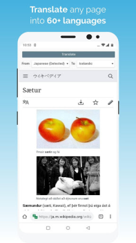 Scaricare Kiwi Browser - Fast & Quiet Comunicazione per Android Screenshot 5