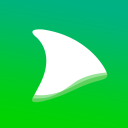 Scaricare  Dolphin Video - Flash Player