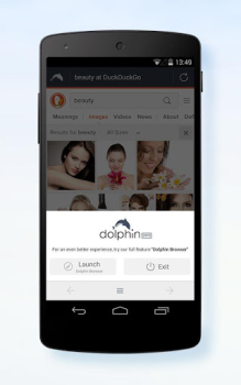 Dolphin Zero Incognito Browser