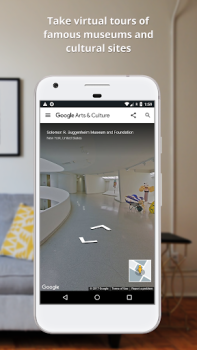 Scaricare Google Arts & Culture Educazione per Android Screenshot 6