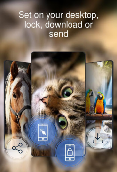 Scaricare Bellissimi sfondi 4k Personalizzazione per Android Screenshot 4