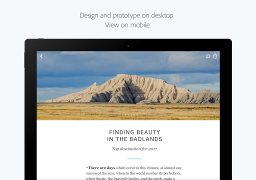 Scaricare Adobe Xd Strumenti per Android Screenshot 7