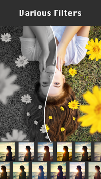 Square Photo Editor Collage