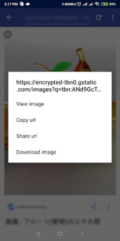 Scaricare IDM - Download Manager Plus Strumenti per Android Screenshot 6