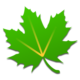 app logo