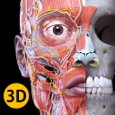 Scaricare  Anatomia - Atlante 3D